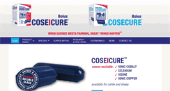 Desktop Screenshot of cosecureboluses.com